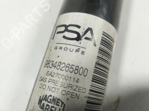 Left rear shock absorber PEUGEOT 208 II (UB_, UP_, UW_, UJ_) e-208 | BP23144321M18 