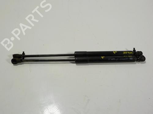 Used Hood lift support RENAULT KANGOO / GRAND KANGOO II (KW0/1_) [2008-2025]  14288089