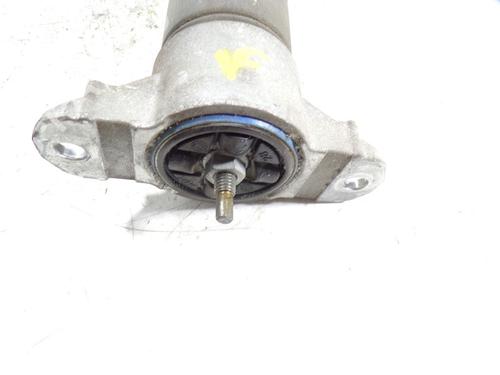 Right rear shock absorber FORD C-MAX II (DXA/CB7, DXA/CEU)  | BP8337185M19 