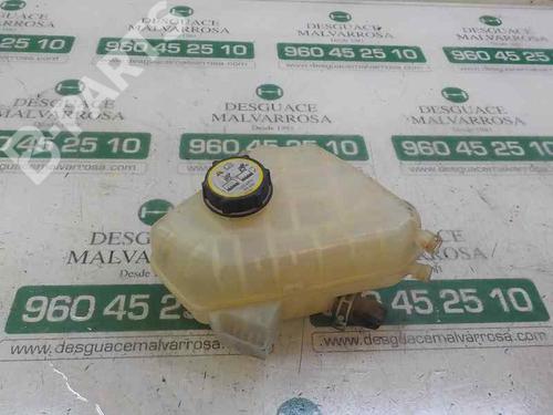 Used Expansion tank Expansion tank FORD FIESTA VI (CB1, CCN) 1.25 (82 hp) 5030991 5030991