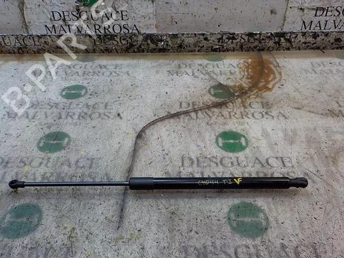 Used Tailgate lift support VW GOLF VII (5G1, BQ1, BE1, BE2) 1.6 TDI (110 hp) 14278269