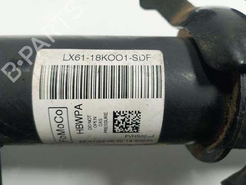 Left front shock absorber FORD KUGA III (DFK)  | BP16913102M16 