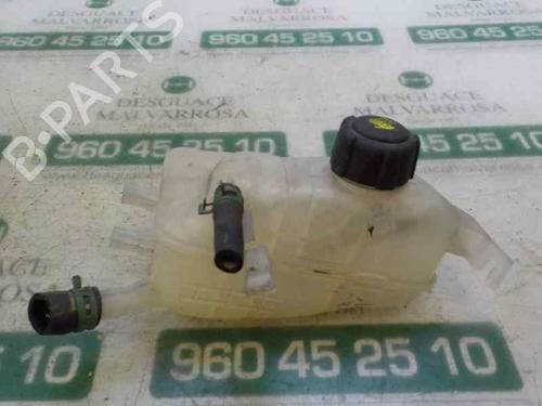 Used Expansion tank RENAULT MEGANE III Coupe (DZ0/1_) [2008-2016]  6241162