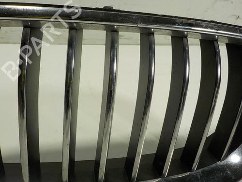 Grille BMW 5 Touring (F11) 520 d xDrive | BP15106493C40 