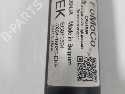 Left rear shock absorber FORD FOCUS IV (HN)  | BP16321998M18 