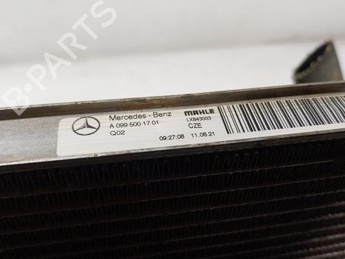Water radiator MERCEDES-BENZ C-CLASS (W206) C 200 (206.042) | BP32511199M31