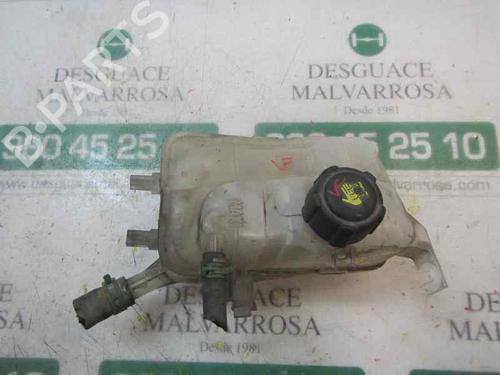 Used Expansion tank RENAULT MEGANE III Hatchback (BZ0/1_, B3_) 1.5 dCi (BZ0C) (90 hp) 3877489