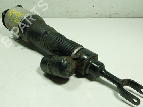 Used Left front shock absorber BENTLEY CONTINENTAL FLYING SPUR (3W_) [2005-2013]  26927648
