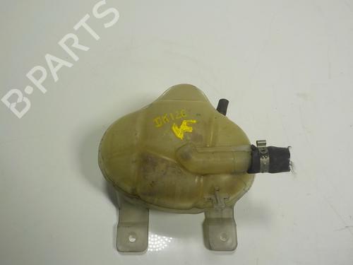 Expansion tank FIAT PUNTO EVO (199_) 1.3 D Multijet (199AXC1A, 199BXC1A, 199AXT1A, 199BXT1A) | BP11094808C120