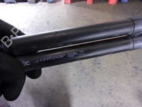 Hood lift support RENAULT KANGOO / GRAND KANGOO II (KW0/1_)  | BP15914520C139
