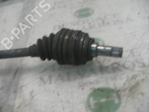  - Image 3
