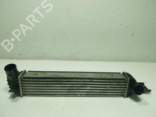 Intercooler SSANGYONG KORANDO (CK) 2.0 e-XDi (175 hp) 29145230