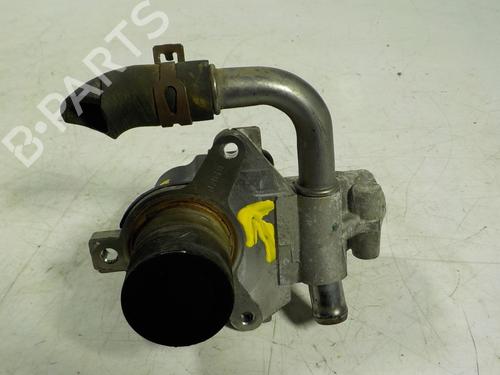 Egr RENAULT CLIO III (BR0/1, CR0/1)  | BP8197597M69 