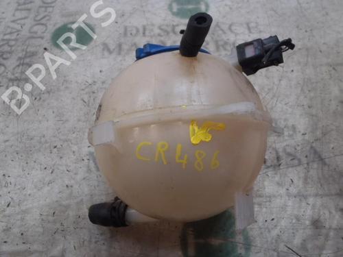 Used Expansion tank SKODA FABIA II (542) 1.2 (60 hp) 3824327