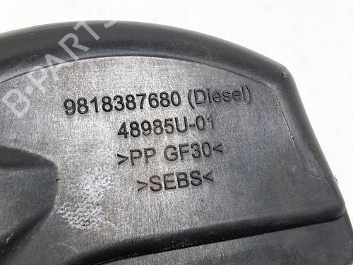 Fuel flap PEUGEOT 2008 I (CU_) 1.2 PureTech 82 | BP19522504C131 