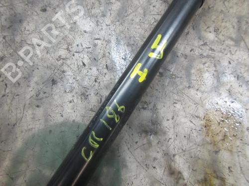 Tailgate lift support MERCEDES-BENZ A-CLASS (W169) A 180 CDI (169.007, 169.307) | BP14274033C138 