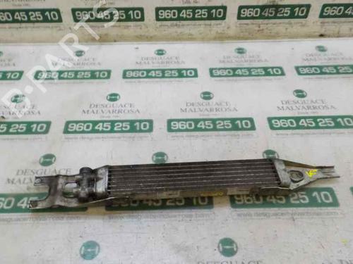Used Oil radiator MERCEDES-BENZ M-CLASS (W164) [2005-2012]  5388602