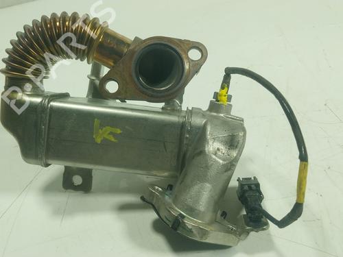 EGR-Ventil NISSAN X-TRAIL III (T32_, T32R, T32RR) 1.6 dCi (T32) (130 hp) 25752112