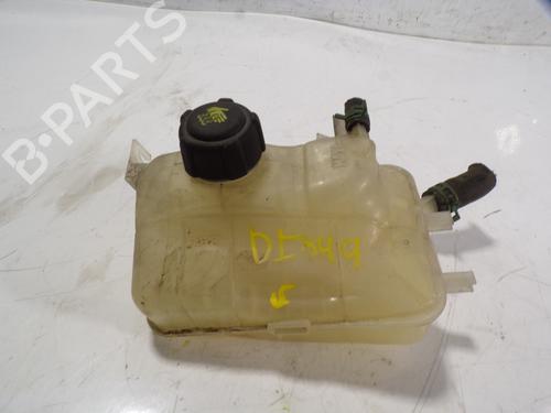 Used Expansion tank RENAULT MEGANE III Hatchback (BZ0/1_, B3_) 1.5 dCi (BZ0C) (90 hp) 9831132