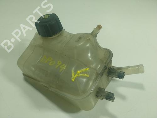 Used Expansion tank RENAULT SCÉNIC III (JZ0/1_) 1.2 TCe (116 hp) 21381989