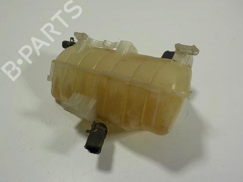 Used Expansion tank MERCEDES-BENZ CITAN Box Body/MPV (W415) [2012-2021]  13251951