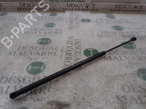 Used Tailgate lift support FORD FIESTA V (JH_, JD_) [2001-2014]  14273379