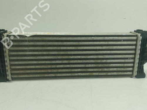 Used Intercooler FORD TRANSIT V363 Platform/Chassis (FED, FFD) 2.0 EcoBlue RWD (170 hp) 25887458