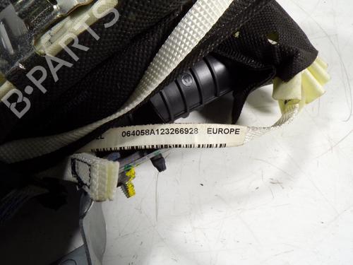 Venstre gardin kollisjonspute NISSAN QASHQAI / QASHQAI +2 I (J10, NJ10, JJ10E) 1.6 dCi | BP8630135C11 
