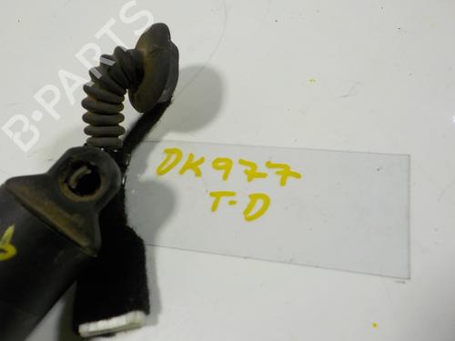 Tailgate lift support BMW 2 Gran Tourer (F46)  | BP16431002C138 