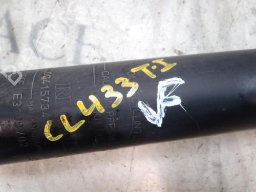 Left rear shock absorber RENAULT SCÉNIC II (JM0/1_) 1.5 dCi (JM1E, JM16) | BP3820039M18 