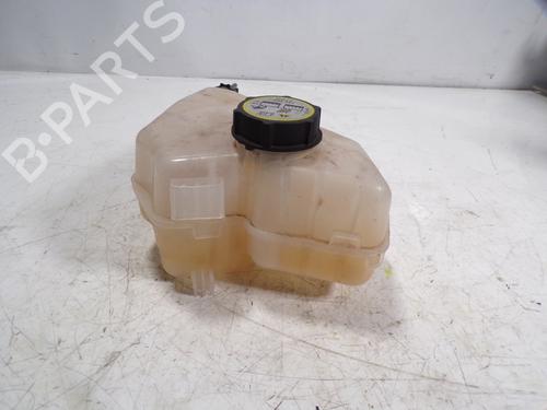Ekspansjonstank FORD FIESTA VI (CB1, CCN) 1.0 EcoBoost (100 hp) 7235740