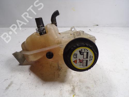 Used Expansion tank LAND ROVER RANGE ROVER SPORT I (L320) 2.7 D 4x4 (190 hp) 7301247