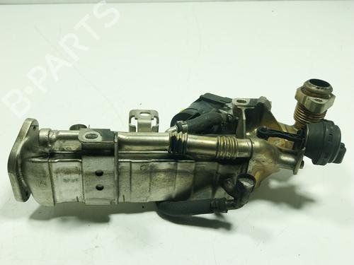 Egr BMW X6 (E71, E72) M 50 d | BP19641021M69 
