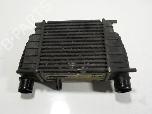 Intercooler NISSAN NV200 / EVALIA Bus  | BP13750224M30 