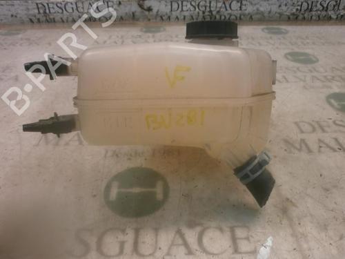 Expansion tank FORD FIESTA VI (CB1, CCN) 1.6 TDCi | BP3801867C120 
