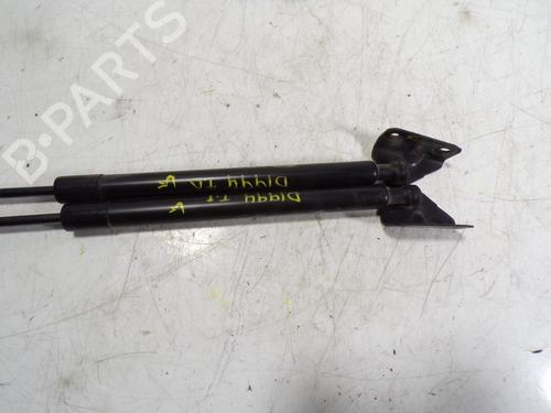 Tailgate lift support PEUGEOT 208 I (CA_, CC_) 1.6 BlueHDi 100 | BP14287163C138