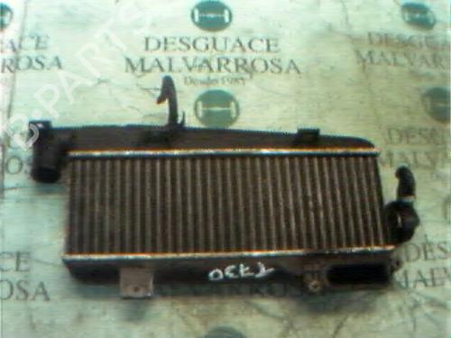 Intercooler Intercooler CITROËN ZX (N2) [1991-1999] 3764445 3764445