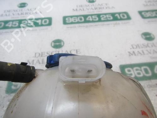 Expansion tank VW POLO V (6R1, 6C1) 1.2 TSI | BP3879021C120 