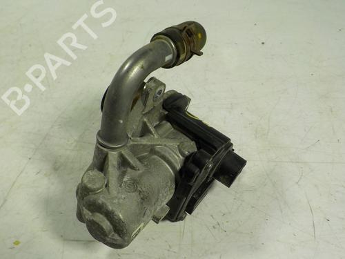 Egr RENAULT CLIO III (BR0/1, CR0/1)  | BP8197597M69 