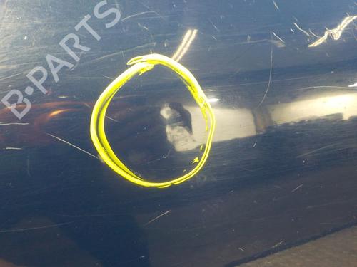Left rear door CITROËN C4 Picasso II  | BP11193806C4 