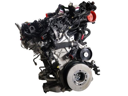 Motor BMW 8 Convertible (G14, F91) [2018-2025]  24195199