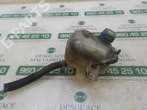 Used Expansion tank FIAT DOBLO Cargo (263_) 1.3 D Multijet (90 hp) 5027352