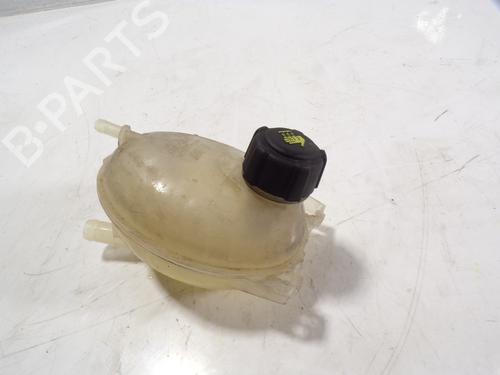 Used Expansion tank RENAULT CLIO IV (BH_) [2012-2021]  10089099