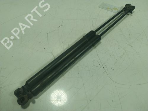 Tailgate lift support RENAULT ZOE (BFM_)  | BP17992766C138