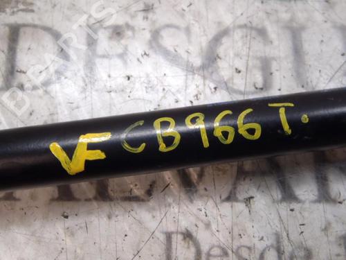 Gassdemper Bakluke FORD FOCUS C-MAX (DM2)  | BP14272814C138 