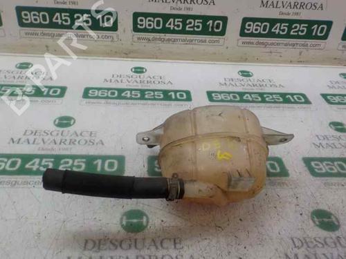 Expansion tank FIAT FIORINO Box Body/MPV (225_) 1.3 D Multijet (225BXD1A, 225BXB1A, 225BXB11) | BP4624157C120 