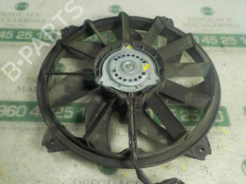 Radiator fan CITROËN C4 II (NC_)  | BP6450381M35 