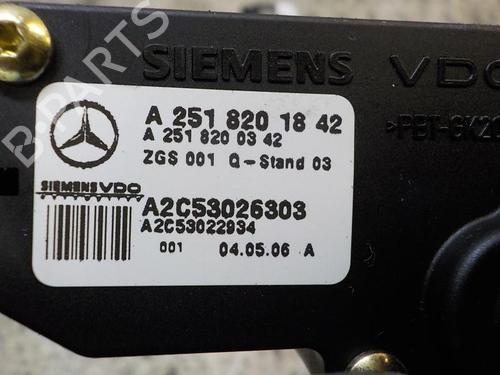 Elektronisk modul MERCEDES-BENZ R-CLASS (W251, V251)  | BP3846481M83 