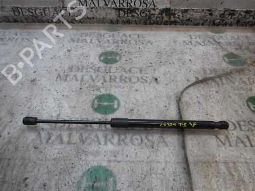Used Tailgate lift support RENAULT MEGANE III Hatchback (BZ0/1_, B3_) 1.5 dCi (BZ09, BZ0D, BZ1W, BZ29, BZ14) (110 hp) 14277431