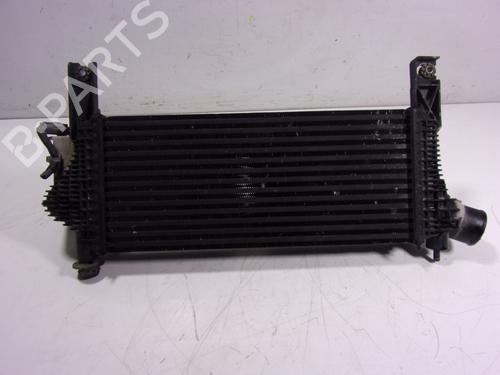 Intercooler NISSAN NAVARA NP300 (D40)  | BP15542181M30 